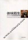 体味陌生  一位女画家的探索与感悟 封面
