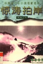 惊涛拍岸  商海之页 封面