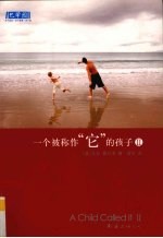一个被称作“它”的孩子  2 封面