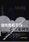 创伤危机干预心理案例集 封面