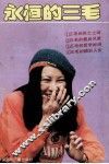永恒的三毛 封面