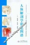 人体解剖学彩色图谱 封面
