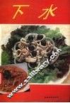 下水 封面