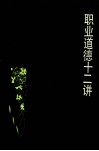 职业道德十二讲 封面