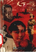 天下一冠  陈宁作品选集 封面