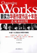 新实力华语作品十年选  杀死柏拉图 封面