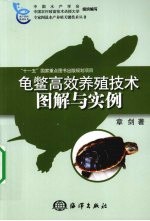 龟鳖高效养殖技术图解与实例 封面