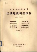 中华人民共和国区域地质调查图幅说明书  比例尺1：50000  文成县东半幅  马屿镇福  山门街幅  苍南县西半幅  矿产部分 封面