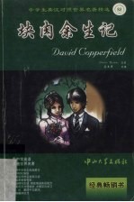 块肉余生记 封面