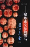 盘口点金  2  爆炸成交量擒黑马 封面