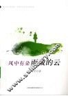 风中有朵雨做的云 封面