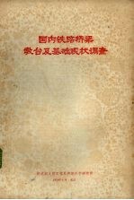 国内铁路桥梁墩台及基础现状调查 封面