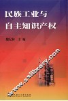 民族工业与自主知识产权 封面