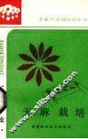 天麻栽培 封面
