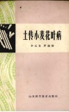土传小麦花叶病 封面