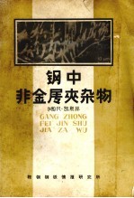 钢中非金属夹杂物 封面