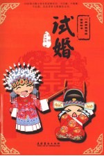 试婚 封面