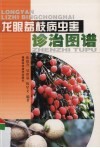 龙眼荔枝病虫害诊治图谱 封面