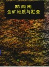 黔西南金矿地质与勘查 封面