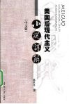 美国后现代主义小说详解  中文版 封面
