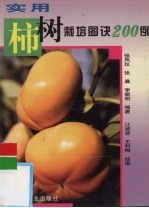 实用柿树栽培图诀200例 封面