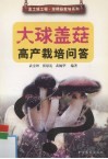 大球盖菇高产栽培问答 封面