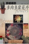 胖嘟嘟的多肉多浆花卉 封面