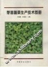 芽苗蔬菜生产技术图册 封面