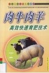 肉牛、肉羊高效快速育肥技术 封面