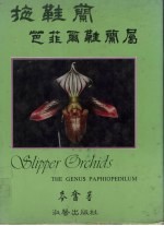 拖鞋兰之芭菲尔鞋兰属 封面