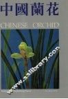 中国兰花  图集  1 封面