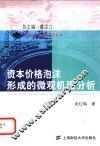 资本价格泡沫形成的微观机理分析 封面