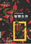 植物的策略  智慧生存 封面