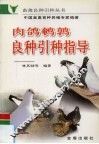 肉鸽  鹌鹑良种引种指导 封面