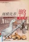规模化养鸭新技术 封面