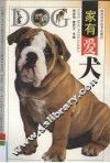 家有爱犬 封面