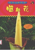 噬血花 封面