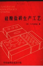 硅酸盐砖生产工艺 封面