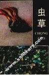 虫草 封面