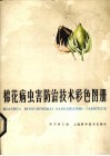 棉花病虫害防治技术彩色图册 封面