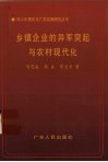 乡镇企业的异军突起与农村现代化 封面