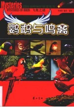 鹦鹉与鸣禽 封面