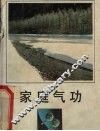 家庭气功 封面