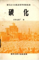 碳化法合成氨流程制碳酸氢铵  碳化 封面