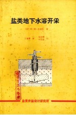 盐类地下水溶开采 封面