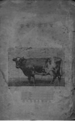 实用养牛全书 封面