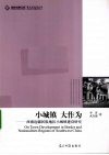 小城镇大作为  西南边疆民族地区小城镇建设研究 封面