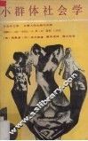 小群体社会学 封面