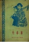 大丰年 封面