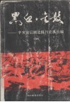 黑血·金鼓  辛亥前后湖北报刊史事长编  1866-1911 封面
